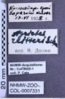 Etikette zu Agriotes reitteri (Schwarz, 1891) (NHMW-ZOO-COL-0007331)